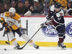Predators Avalanche Hockey