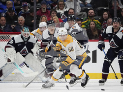 Predators Avalanche Hockey