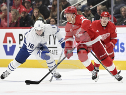 Maple Leafs Red Wings Hockey