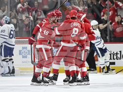 Maple Leafs Red Wings Hockey