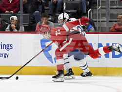 Maple Leafs Red Wings Hockey