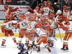 Ducks Blue Jackets Hockey