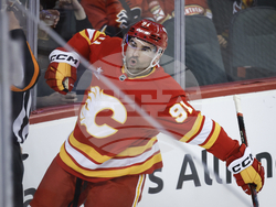 Panthers Flames Hockey