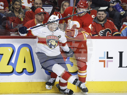 Panthers Flames Hockey