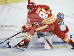 Panthers Flames Hockey