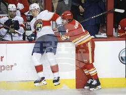 Panthers Flames Hockey