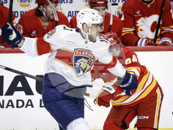 Panthers Flames Hockey