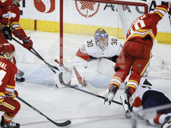 Panthers Flames Hockey