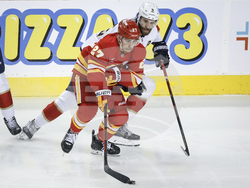 Panthers Flames Hockey