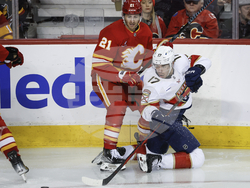 Panthers Flames Hockey