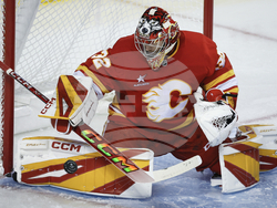 Panthers Flames Hockey
