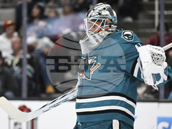 Utah Sharks Hockey