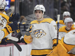 Predators Avalanche Hockey