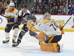 Predators Avalanche Hockey