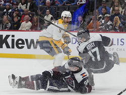 Predators Avalanche Hockey