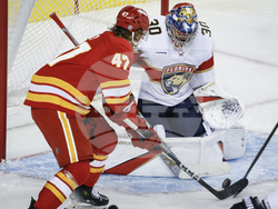 Panthers Flames Hockey