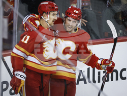 Panthers Flames Hockey