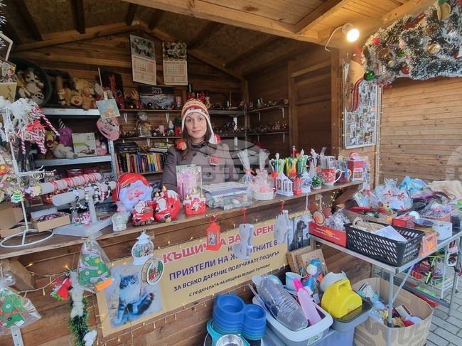 Доброволци набират дарения за Приюта за бездомни животни на коледния базар във Велико Търново