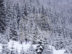 Austria Biathlon World Cup