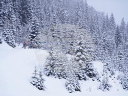 Austria Biathlon World Cup