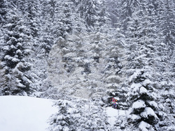 Austria Biathlon World Cup