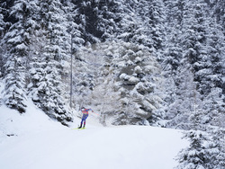 Austria Biathlon World Cup