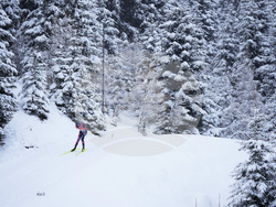 Austria Biathlon World Cup