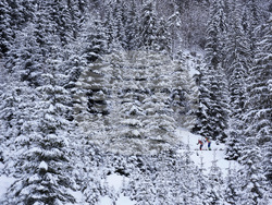 Austria Biathlon World Cup