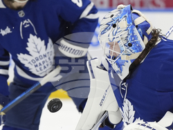 Sabres Maple Leafs Hockey