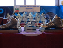 Българска федерация по борба - награди