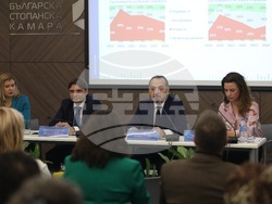Българска стопанска камара - бизнес климат - проучване - резултати