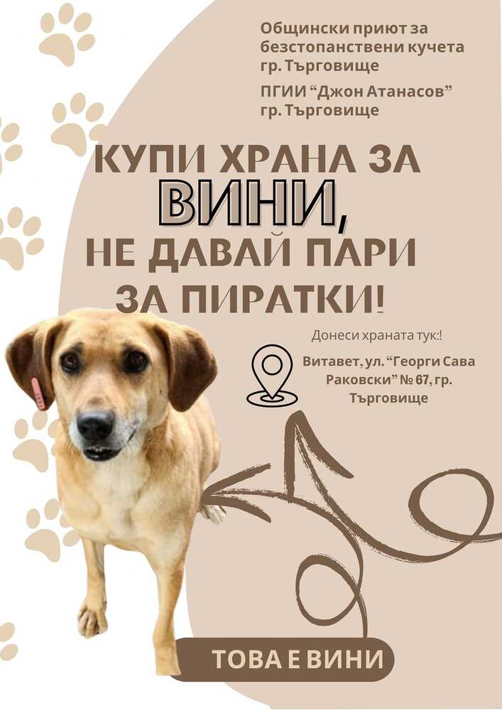 Ученици от Търговище създават постери срещу използването на пиратки и в подкрепа на осиновяването на кучета от общинския приют