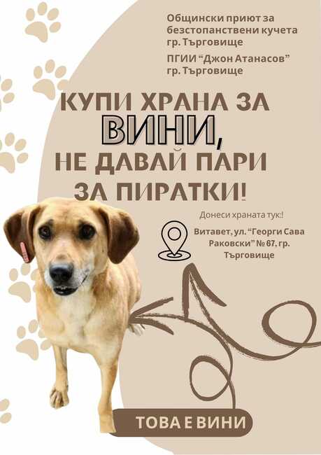 Ученици от Търговище създават постери срещу използването на пиратки и в подкрепа на осиновяването на кучета от общинския приют