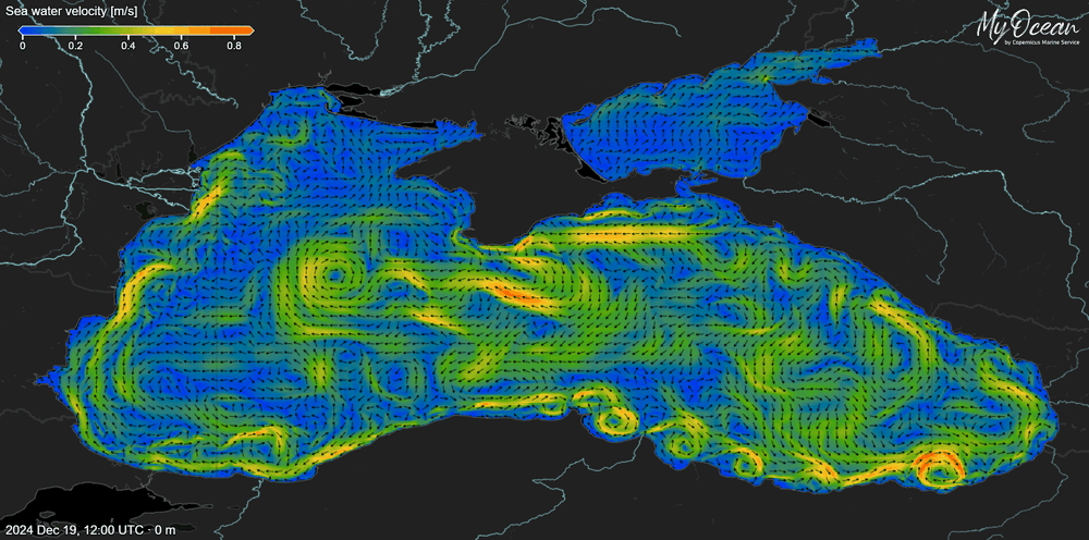No Risk of Significant Pollution for Western Black Sea, Environment Ministry Says after Oil Spill in Kerch Strait