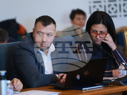 Народно събрание - временна комисия - заседание