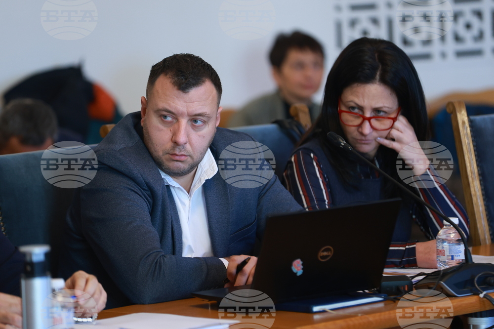 Народно събрание - временна комисия - заседание