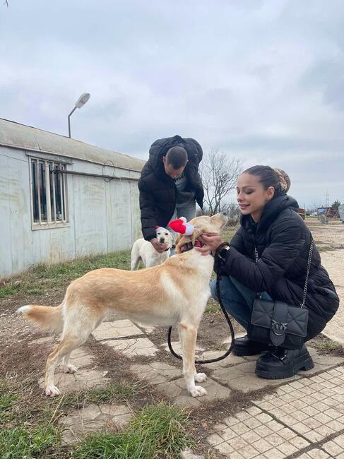 Младежите от БСП-Връбница подкрепиха грижата за бездомните животни в общинския приют в с. Сеславци