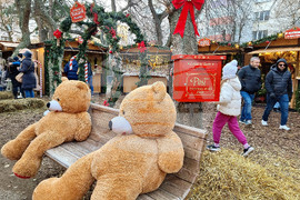 Варна - Коледна градинка „Чаталджа“