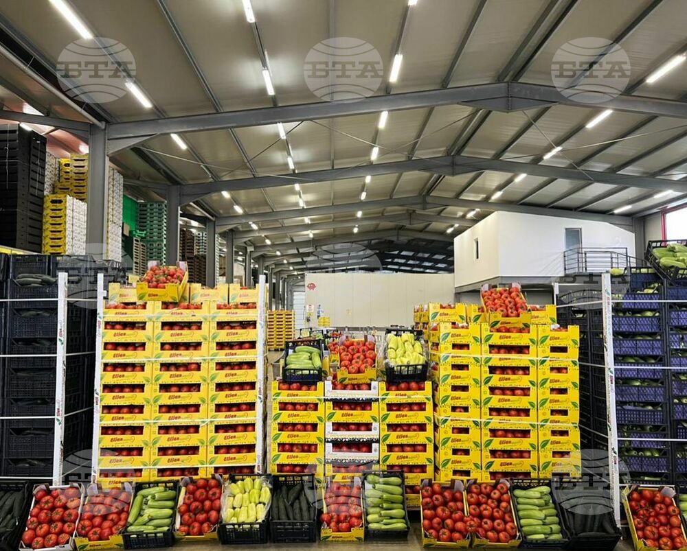 АТА: Износът на селскостопански продукти от Албания се е увеличил с 19,5%