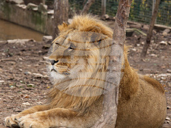 Снимка: Община Стара Загора