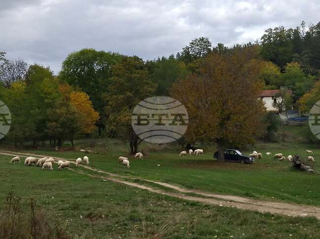 Босилеградско село Белут: минало и настояще