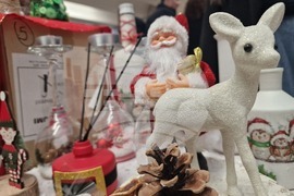 Хасково - Областна администрация - коледен благотворителен базар