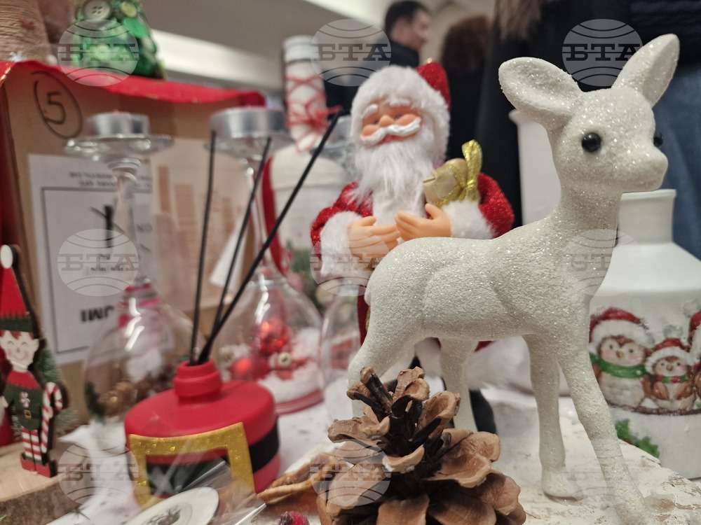 Хасково - Областна администрация - коледен благотворителен базар