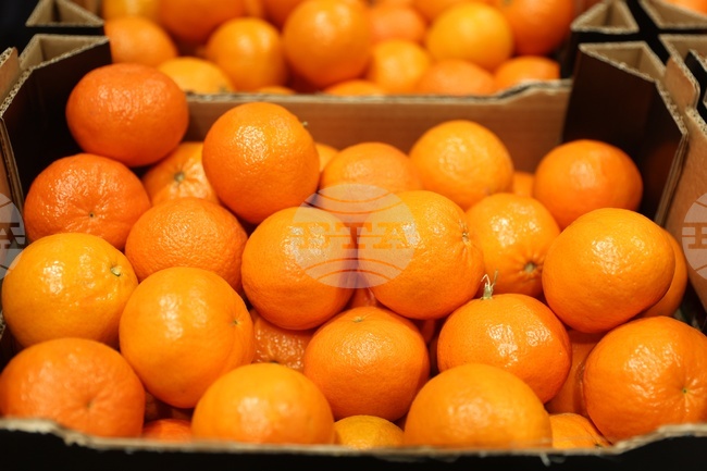 Bulgarian Food Safety Agency Stops Over 192 Tonnes of Food, Feed at Border in February