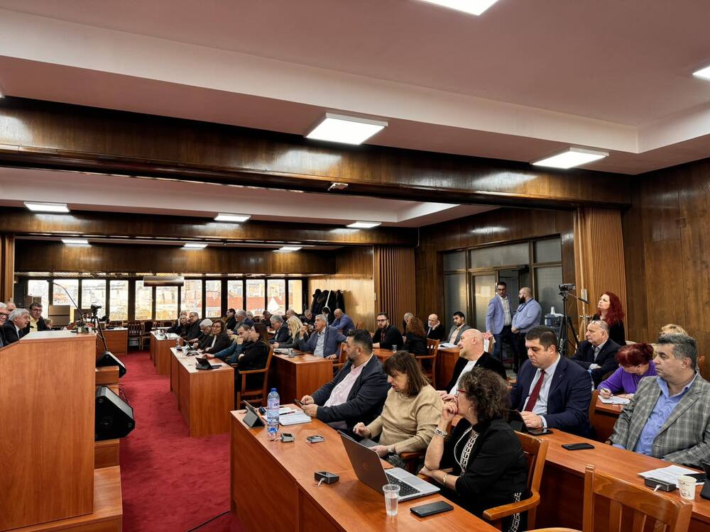 Община Русе: Нова програма за овладяване на популацията на безстопанствените кучета прие Общинският съвет