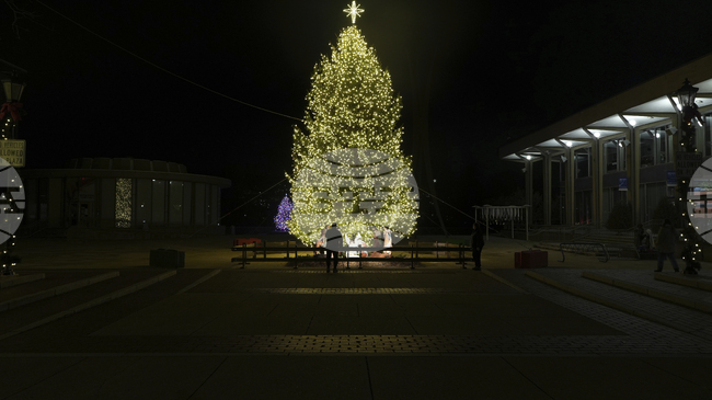 Тръмп обяви Бъдни вечер и 26 декември за празници