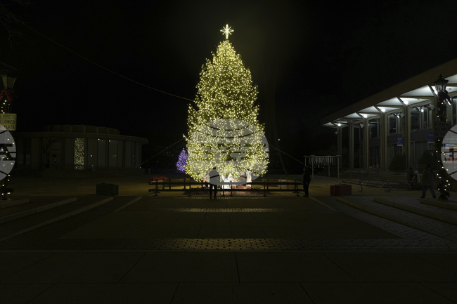 Тръмп обяви Бъдни вечер и 26 декември за празници