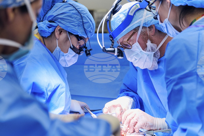 Естетичната хирургия е сред най-предпочитаните специалности сред студентите в Турция заради по-доброто заплащане и условия на труд