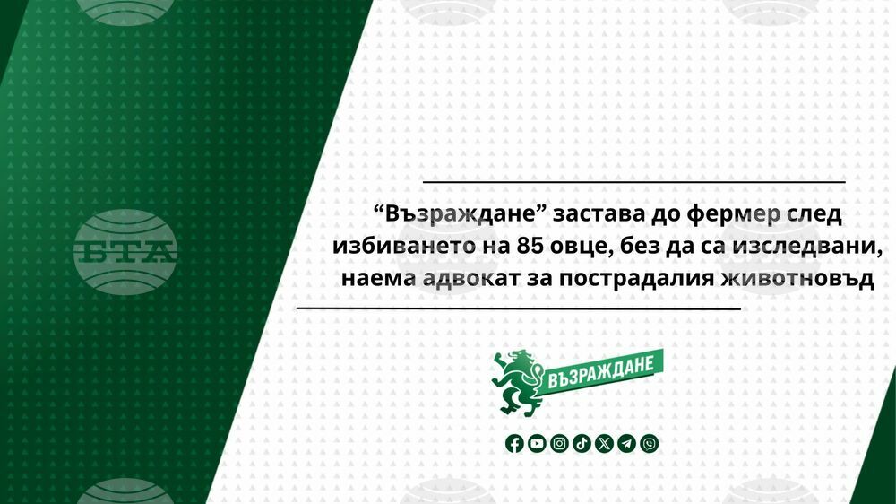 “Възраждане” застава до фермер след избиването на 85 овце, без да са изследвани, наема адвокат за пострадалия животновъд