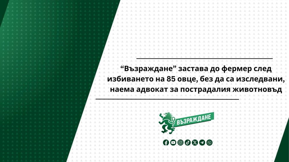 “Възраждане” застава до фермер след избиването на 85 овце, без да са изследвани, наема адвокат за пострадалия животновъд